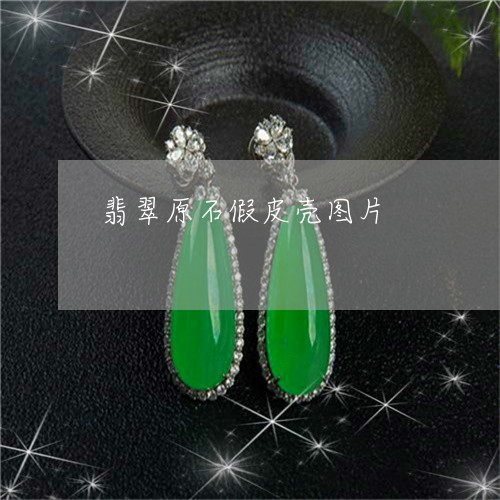 翡翠原石假皮壳图片/2023041170624 翡翠原石假皮壳图片/2023041170624