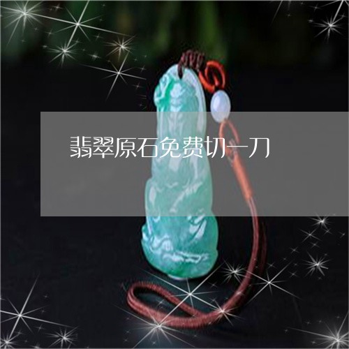 翡翠原石免费切一刀/2023041192824