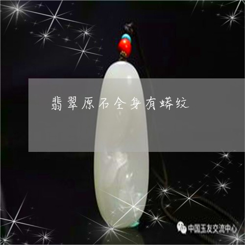 翡翠原石全身有蟒纹/2023041138717 翡翠原石全身有蟒纹/2023041138717