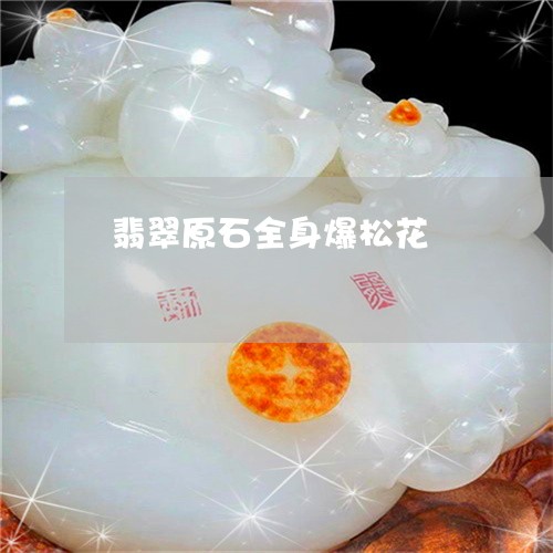 翡翠原石全身爆松花/2023041156302 翡翠原石全身爆松花/2023041156302