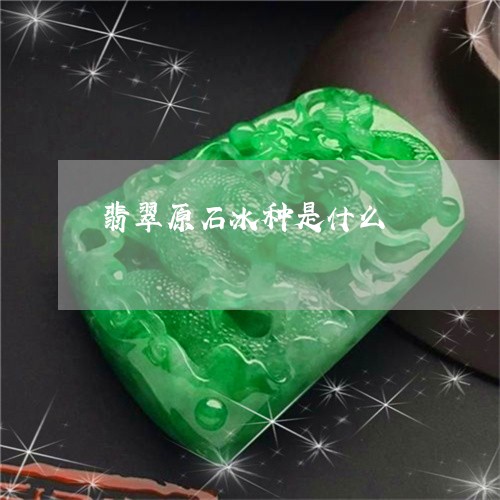 翡翠原石冰种是什么/2023041115049