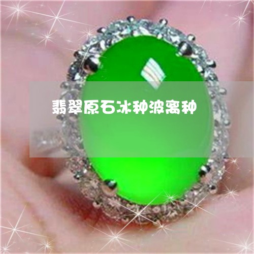 翡翠原石冰种波离种/2023041102837 翡翠原石冰种波离种/2023041102837