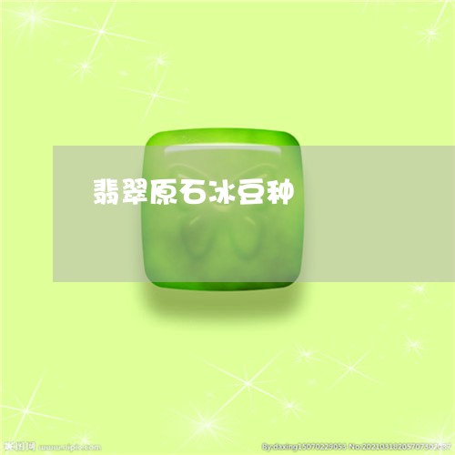 翡翠原石冰豆种/2023032712026 翡翠原石冰豆种/2023032712026