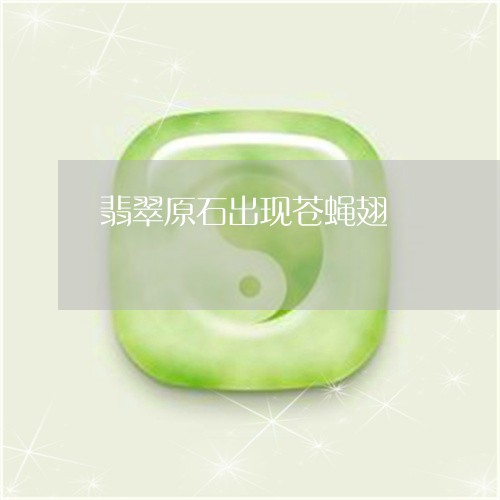 翡翠原石出现苍蝇翅/2023041141626