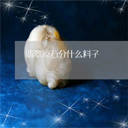 翡翠原石分什么料子/2023041188281 翡翠原石分什么料子/2023041188281