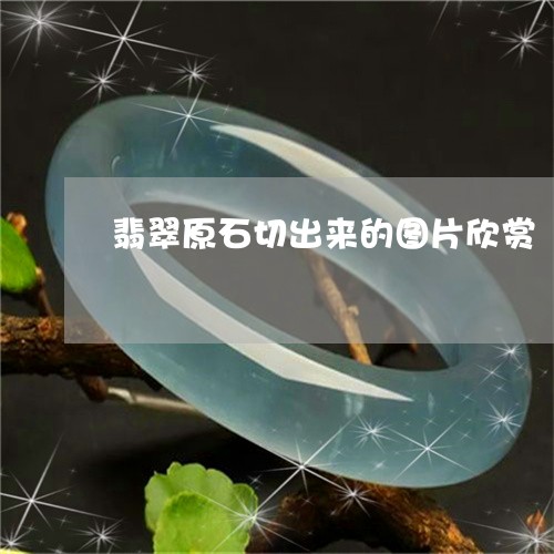 翡翠原石切出来的图片欣赏/2023061964049
