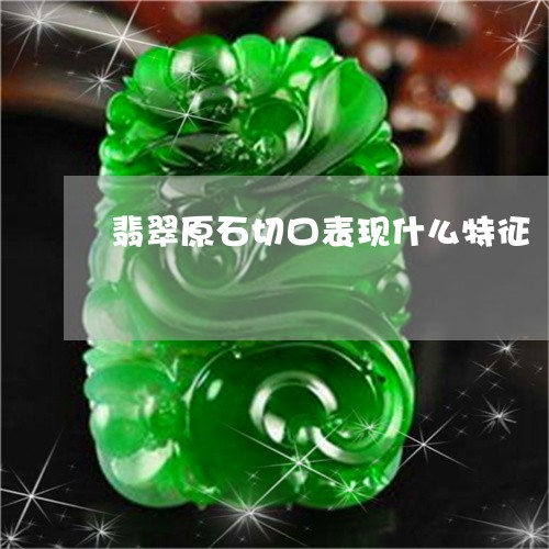 翡翠原石切口表现什么特征/2023061924058 翡翠原石切口表现什么特征/2023061924058