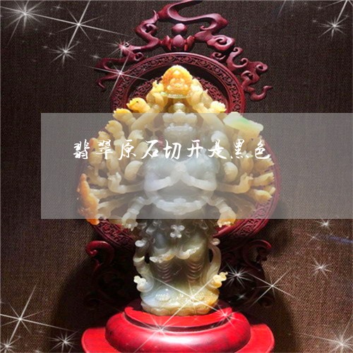 翡翠原石切开是黑色/2023041105817 翡翠原石切开是黑色/2023041105817