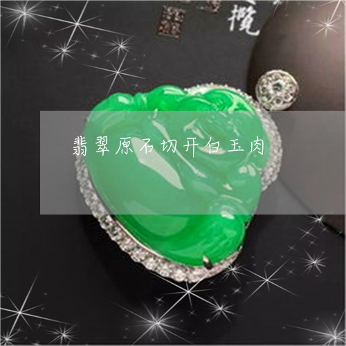 翡翠原石切开白玉肉/2023041125058 翡翠原石切开白玉肉/2023041125058