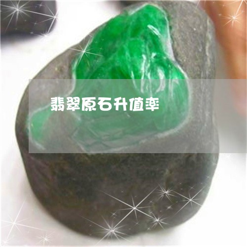 翡翠原石升值率/2023032763835 翡翠原石升值率/2023032763835