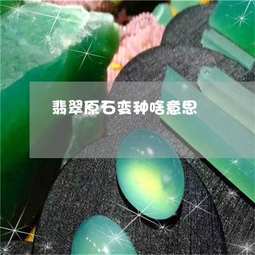 翡翠原石变种啥意思/2023041134248 翡翠原石变种啥意思/2023041134248