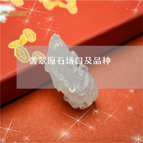 翡翠原石场口及品种/2023041180494