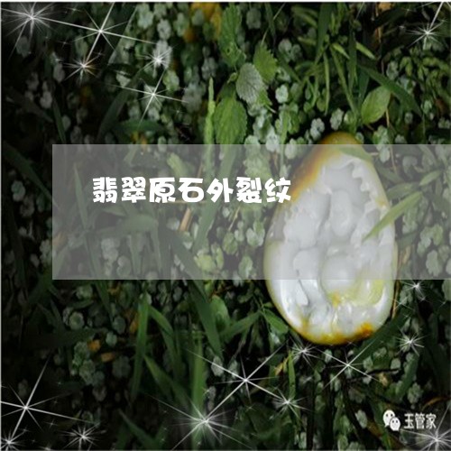 翡翠原石外裂纹/2023032738128