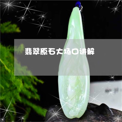 翡翠原石大场口讲解/2023041171582