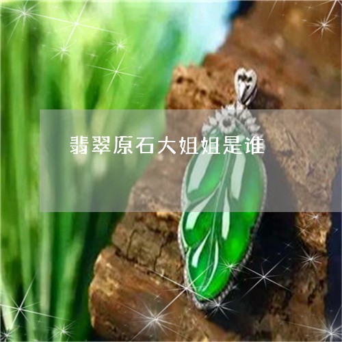 翡翠原石大姐姐是谁/2023041125069