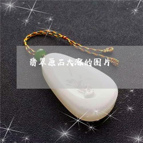 翡翠原石大涨的图片/2023041180814 翡翠原石大涨的图片/2023041180814
