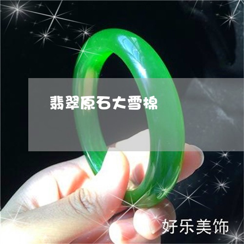 翡翠原石大雪棉/2023032804826