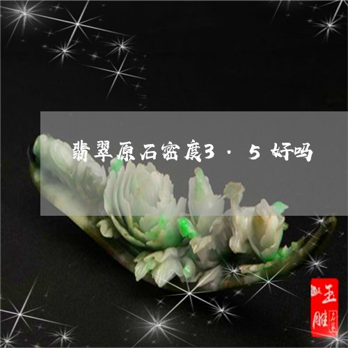 翡翠原石密度3.5好吗/2023061823946