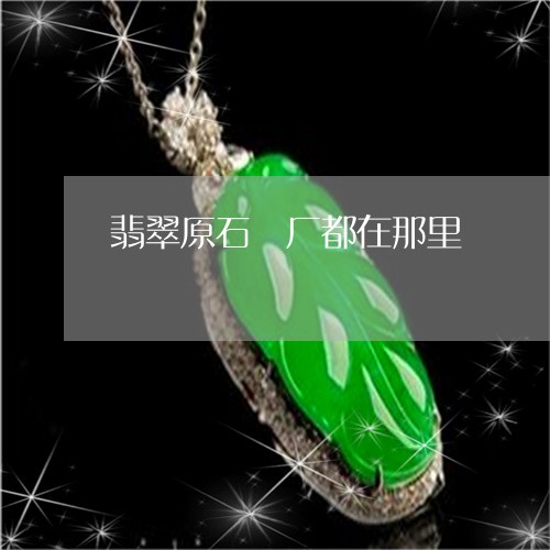 翡翠原石巿厂都在那里