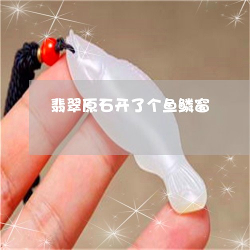 翡翠原石开了个鱼鳞窗/2023021013636