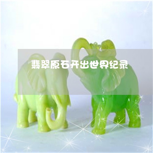 翡翠原石开出世界纪录