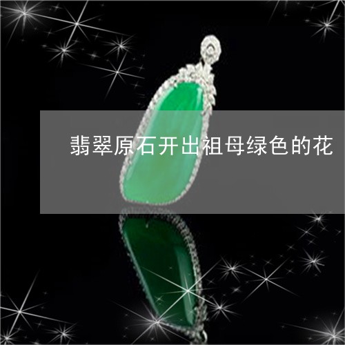 翡翠原石开出祖母绿色的花/2023071123016