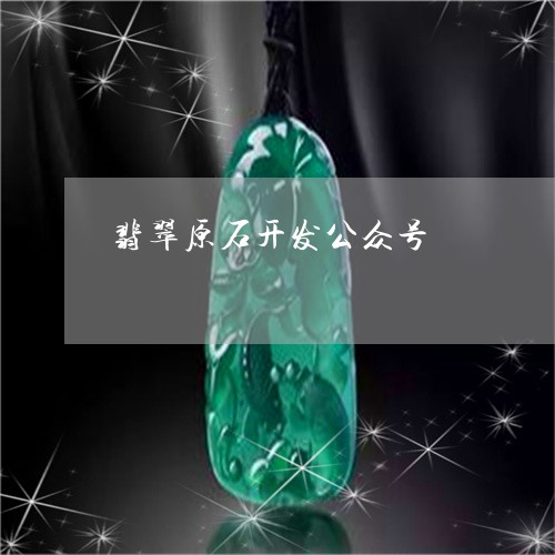 翡翠原石开发公众号/2023041103127
