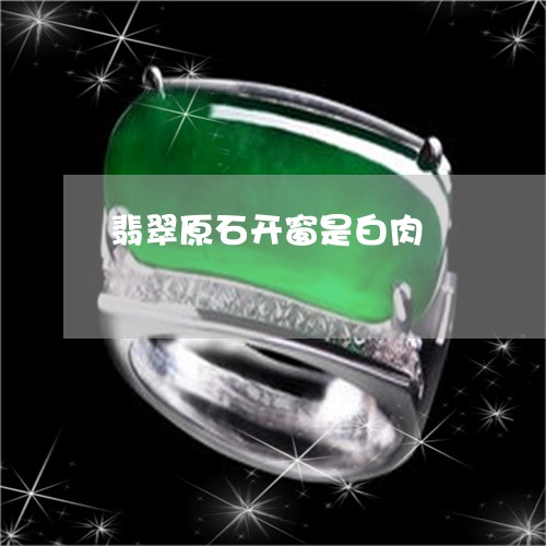 翡翠原石开窗是白肉/2023041102716 翡翠原石开窗是白肉/2023041102716