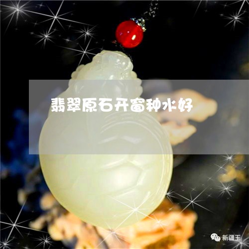 翡翠原石开窗种水好/2023041124931
