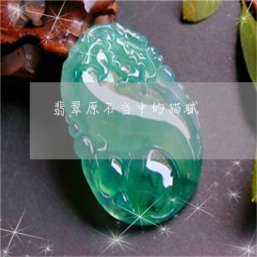 翡翠原石当中的猫腻/2023041128582