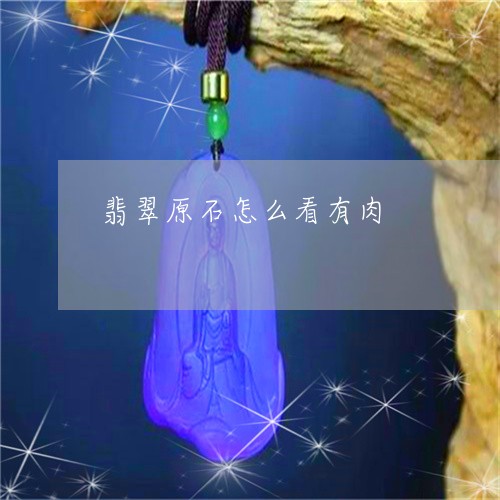 翡翠原石怎么看有肉/2023041118370