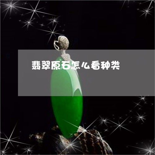 翡翠原石怎么看种类/2023041159361