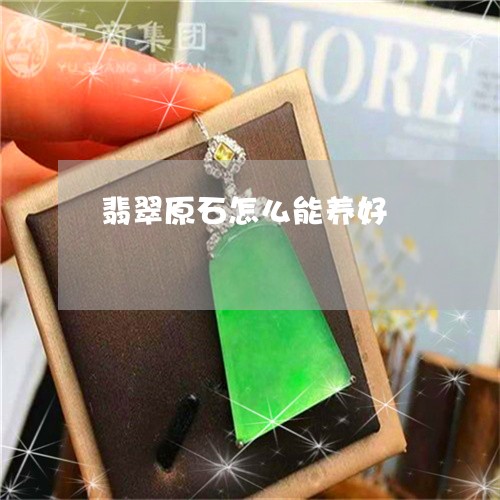 翡翠原石怎么能养好/2023041133825