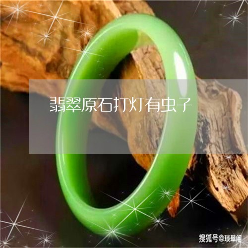 翡翠原石打灯有虫子/2023041007261 翡翠原石打灯有虫子/2023041007261