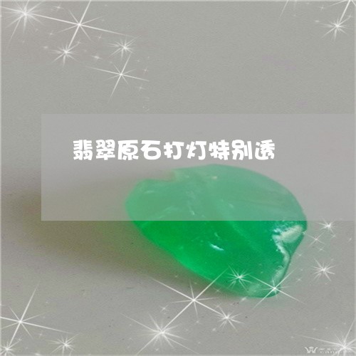 翡翠原石打灯特别透/2023041061635 翡翠原石打灯特别透/2023041061635