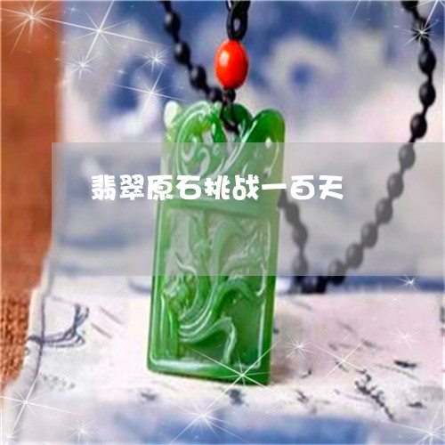 翡翠原石挑战一百天/2023041034929 翡翠原石挑战一百天/2023041034929