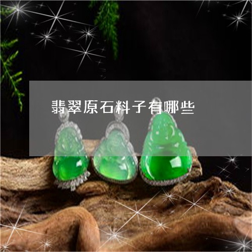 翡翠原石料子有哪些/2023041011613 翡翠原石料子有哪些/2023041011613