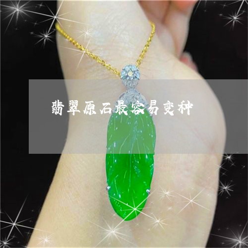 翡翠原石最容易变种/2023041037294 翡翠原石最容易变种/2023041037294