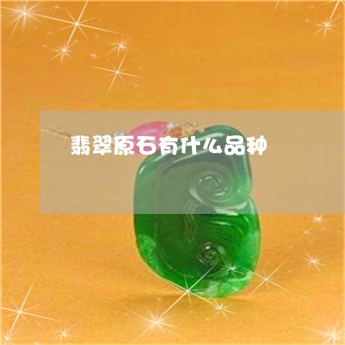 翡翠原石有什么品种/2023041089818 翡翠原石有什么品种/2023041089818