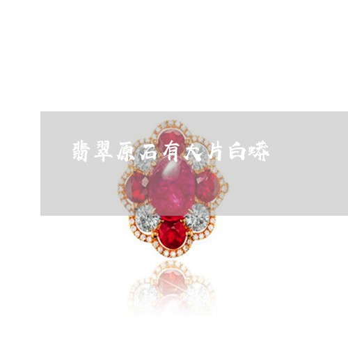 翡翠原石有大片白蟒/2023041038503 翡翠原石有大片白蟒/2023041038503