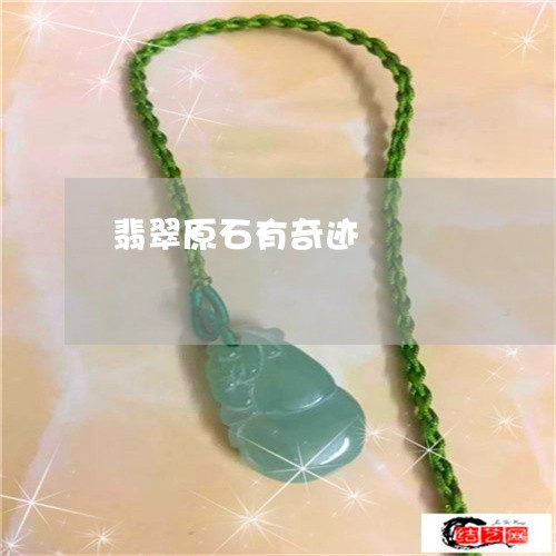 翡翠原石有奇迹/2023032784826 翡翠原石有奇迹/2023032784826