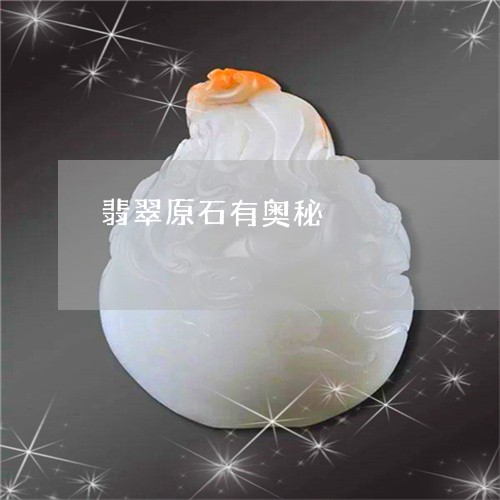 翡翠原石有奥秘/2023032783037 翡翠原石有奥秘/2023032783037