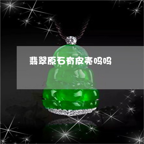 翡翠原石有皮壳吗吗/2023041029601