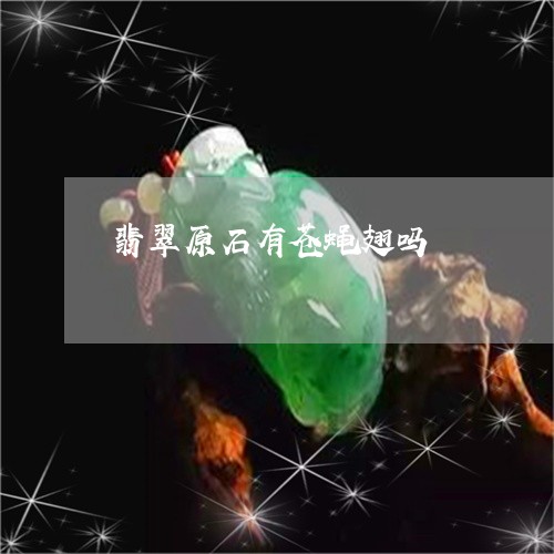 翡翠原石有苍蝇翅吗/2023041003836