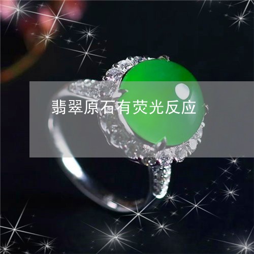 翡翠原石有荧光反应/2023041011947