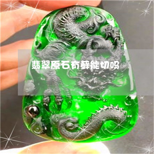 翡翠原石有藓能切吗/2023041097391