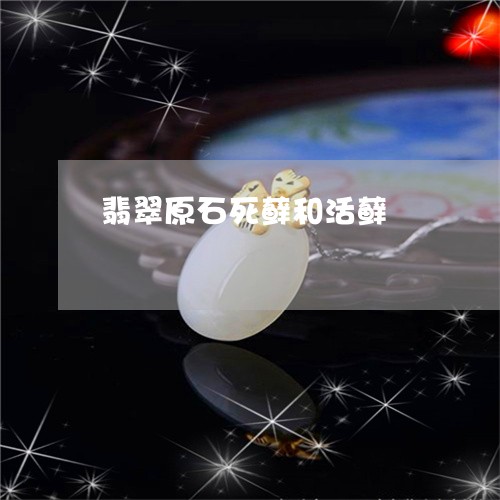 翡翠原石死藓和活藓/2023041089492