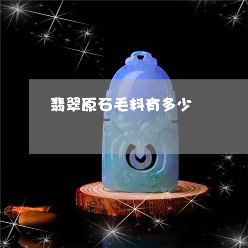 翡翠原石毛料有多少/2023041074717
