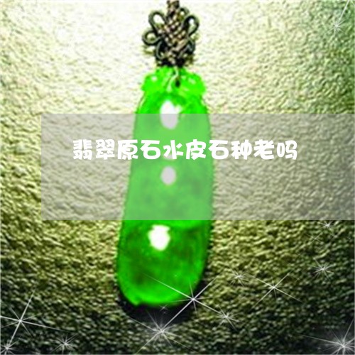 翡翠原石水皮石种老吗