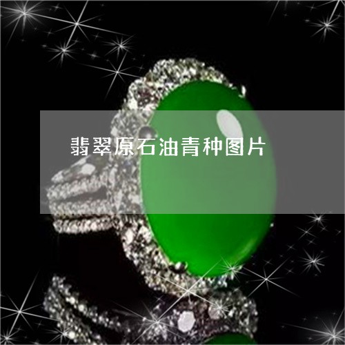 翡翠原石油青种图片/2023041090694 翡翠原石油青种图片/2023041090694